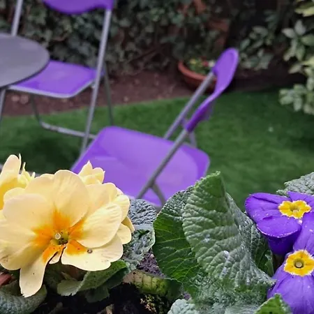 Apartman La Collina In Citta Bologna