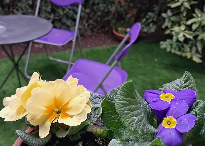 Appartement La Collina In Citta Bologna